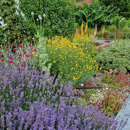 Wolf דירה Veringenstadt