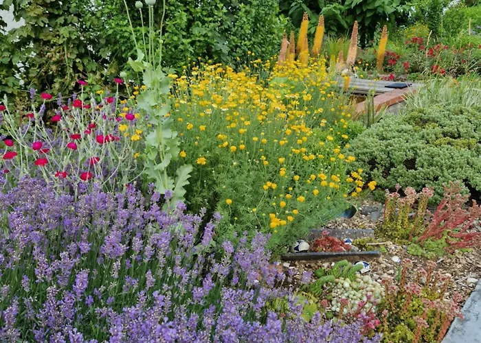 Wolf Apartment Veringenstadt